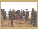 Filmējoties Ē.Valtera 100 gadu jubilejas LTV raidījumam,1994.30.III,Tīraine